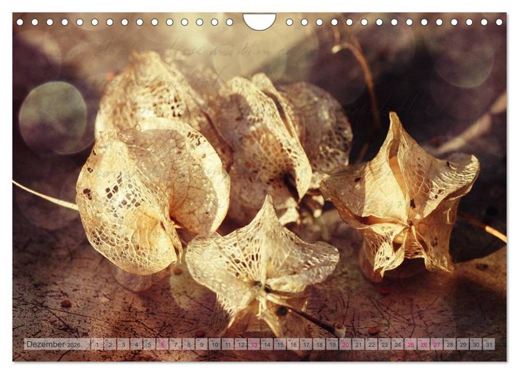 Produktbild: Vintage Nature - Romantische Naturaufnahmen (Wandkalender 2026 DIN A4 quer), CALVENDO Monatskalender
