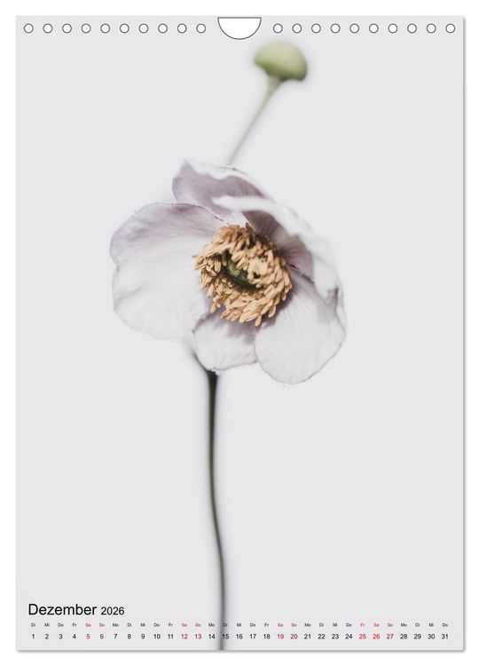 Produktbild: Pure Flowers (Wandkalender 2026 DIN A4 hoch), CALVENDO Monatskalender