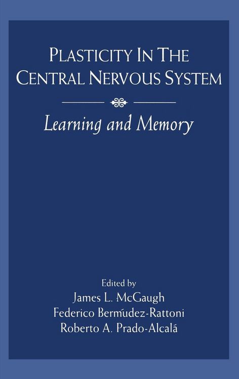 Produktbild: Plasticity in the Central Nervous System