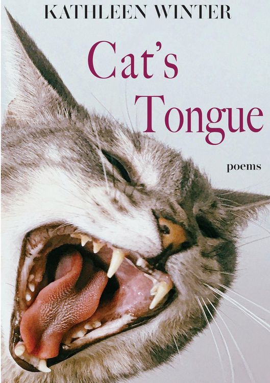 Produktbild: Cat's Tongue