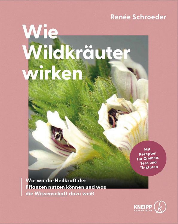 Produktbild: Wie Wildkr&auml;uter wirken