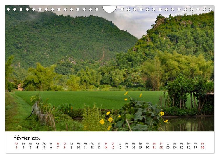 Produktbild: Vietnam du Nord au Sud (Calendrier mural 2026 DIN A4 vertical), CALVENDO calendrier mensuel