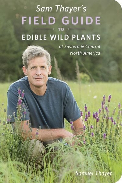 Produktbild: Sam Thayer's Field Guide to Edible Wild Plants