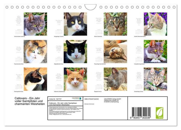 Produktbild: Catlovers - Ein Jahr voller Samtpfoten und charmanten Weisheiten (Wandkalender 2026 DIN A4 quer), CALVENDO Monatskalender