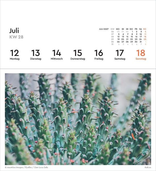Produktbild: Strukturen - KUNTH Postkartenkalender 2027