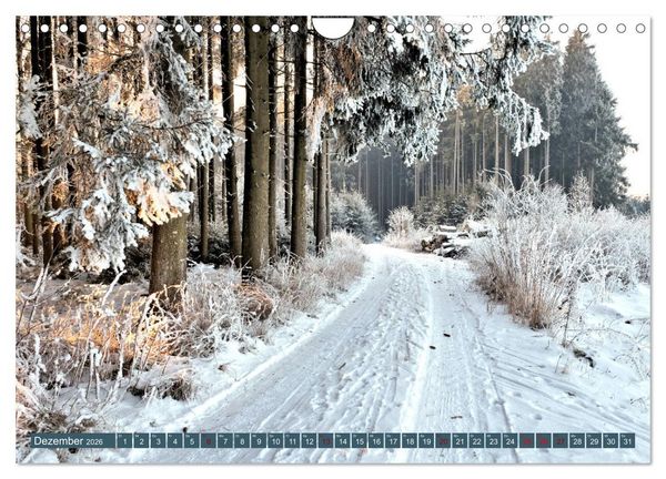 Produktbild: Wiesen W&auml;lder Weiher. Der Naturpark Augsburg-Westliche W&auml;lder (Wandkalender 2026 DIN A4 quer), CALVENDO Monatskalender