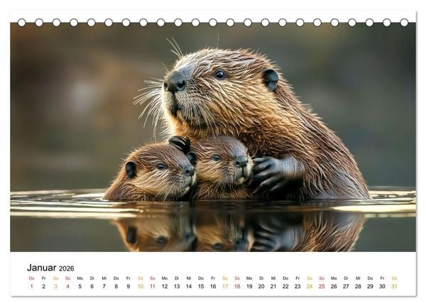 Produktbild: Tierm&uuml;tter - die sanfte Seite der Wildnis (Tischkalender 2026 DIN A5 quer), CALVENDO Monatskalender