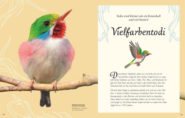 Produktbild: Wundervolle Welt der Vögel