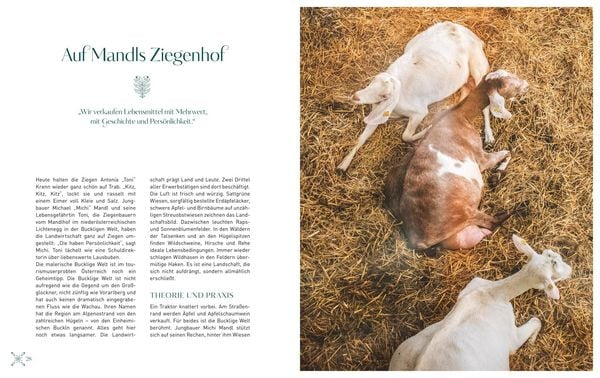 Produktbild: Das Original Sacher Kochbuch