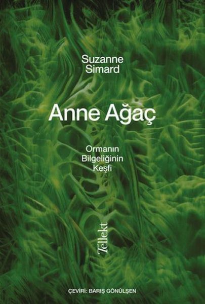 Produktbild: Anne Agac - Ormanin Bilgeligin Kesfi