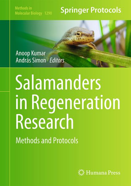 Produktbild: Salamanders in Regeneration Research