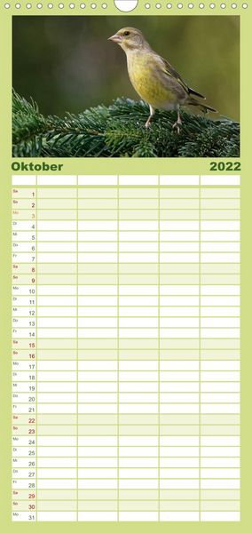Produktbild: Familienplaner Heimische Gartenv&ouml;gel (Wandkalender 2022 , 21 cm x 45 cm, hoch)