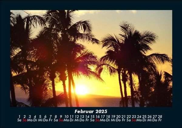 Produktbild: Palmen 2025 Fotokalender DIN A5