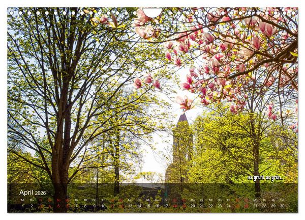 Produktbild: stiftsruine zu bad hersfeld (Wandkalender 2026 DIN A4 quer), CALVENDO Monatskalender
