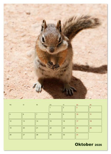 Produktbild: H&ouml;rnchen aus aller Welt (Wandkalender 2026 DIN A3 hoch), CALVENDO Monatskalender