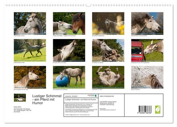 Produktbild: Lustiger Schimmel - ein Pferd mit Humor (hochwertiger Premium Wandkalender 2027 DIN A2 quer), Kunstdruck in Hochglanz