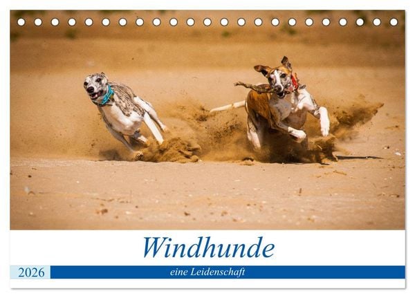 Produktbild: Windhunde - eine Leidenschaft (Tischkalender 2026 DIN A5 quer), CALVENDO Monatskalender