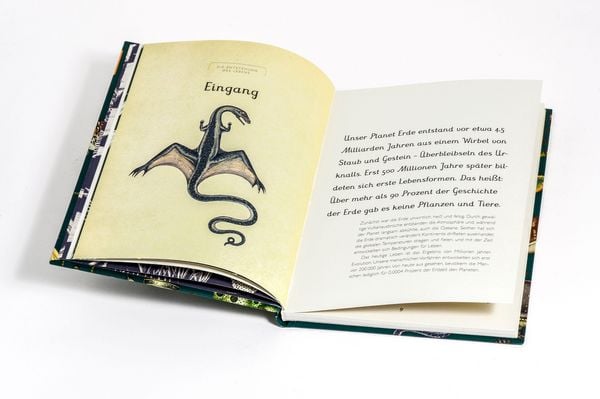 Produktbild: Die Entstehung des Lebens. Evolution