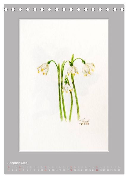 Produktbild: Alpenblumen Aquarelle aus Tirol (Tischkalender 2026 DIN A5 hoch), CALVENDO Monatskalender