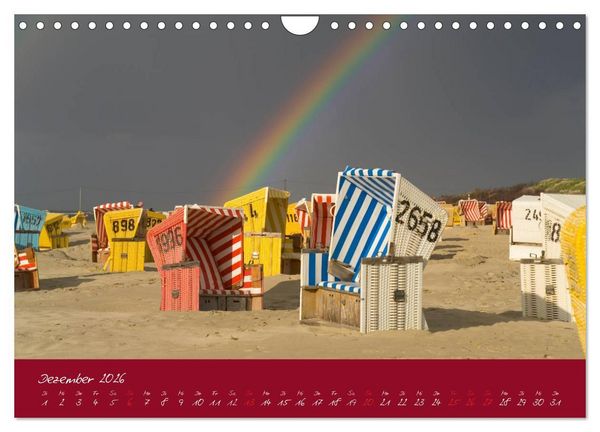 Produktbild: Strandk&ouml;rbe &ndash; bunte Vielfalt an der Nordsee (Wandkalender 2026 DIN A4 quer), CALVENDO Monatskalender