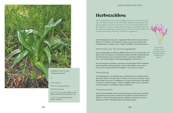 Abenteuer Wald