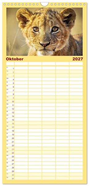 Produktbild: Familienplaner 2027 - Babys der Wildnis mit 5 Spalten (Wandkalender, 21 x 45 cm) CALVENDO