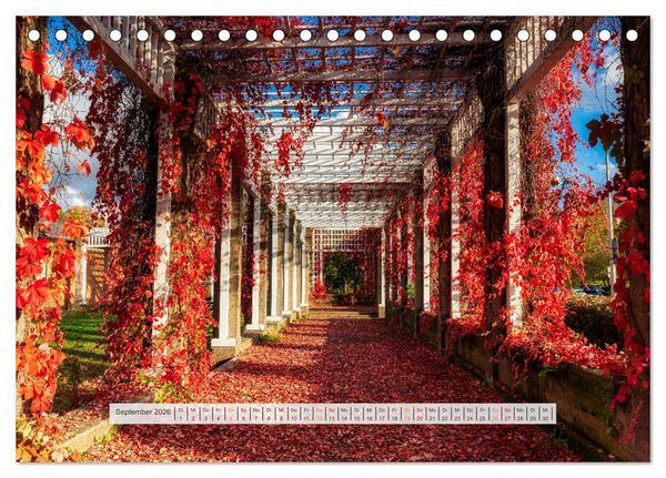 Produktbild: Sch&ouml;nes Magdeburg (Tischkalender 2026 DIN A5 quer), CALVENDO Monatskalender