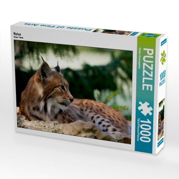 Produktbild: CALVENDO Puzzle Relax | 1000 Teile Lege-Gr&ouml;&szlig;e 64x48cm Foto-Puzzle f&uuml;r gl&uuml;ckliche Stunden
