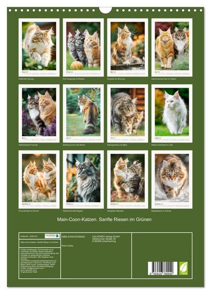 Produktbild: Main-Coon-Katzen. Sanfte Riesen im Gr&uuml;nen (Wandkalender 2027 DIN A3 hoch), CALVENDO Monatskalender