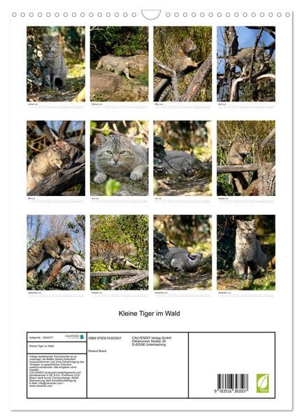 Produktbild: Kleine Tiger im Wald (Wandkalender 2026 DIN A3 hoch), CALVENDO Monatskalender