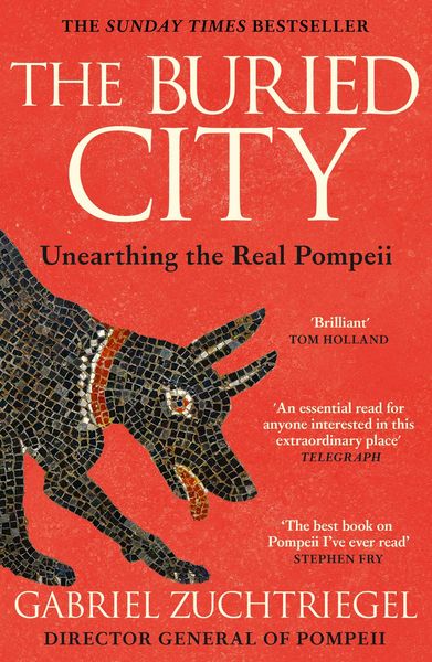 Produktbild: The Buried City