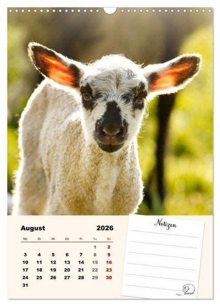 Produktbild: L&auml;mmergl&uuml;ck (Wandkalender 2026 DIN A3 hoch), CALVENDO Monatskalender