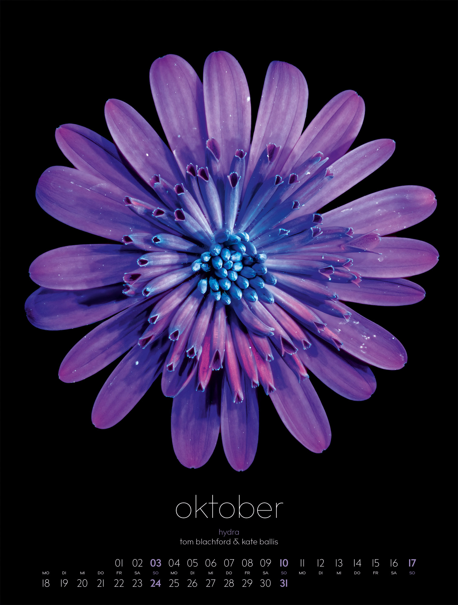 Produktbild: in bloom Kalender 2027