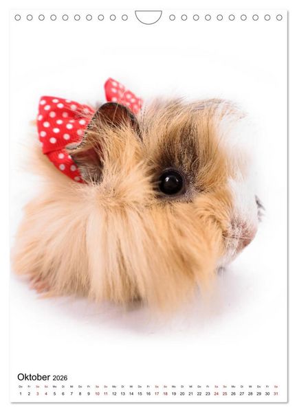 Produktbild: Der Fisheye Tiere Kalender (Wandkalender 2026 DIN A4 hoch), CALVENDO Monatskalender