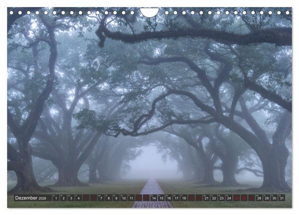 Produktbild: Natur Paradies Mississippi Delta (Wandkalender 2026 DIN A4 quer), CALVENDO Monatskalender