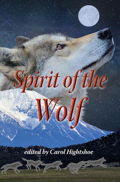 Produktbild: Spirit of the Wolf