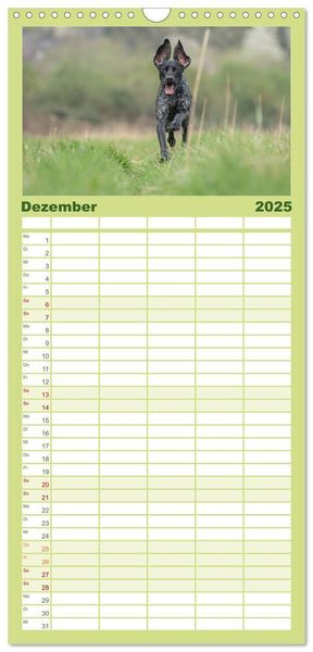 Familienplaner 2025 - Jagdhunde bei der Arbeit mit 5 Spalten (Wandkalender, 21 x 45 cm) CALVENDO