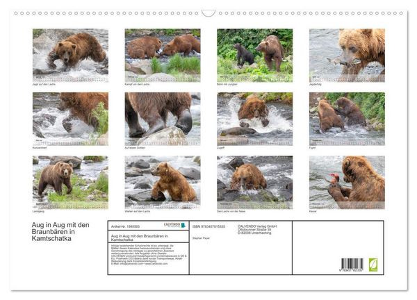 Produktbild: Aug in Aug mit den Braunb&auml;ren in Kamtschatka (Wandkalender 2026 DIN A2 quer), CALVENDO Monatskalender