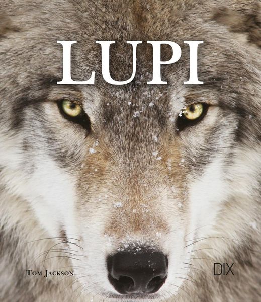 Produktbild: Lupi