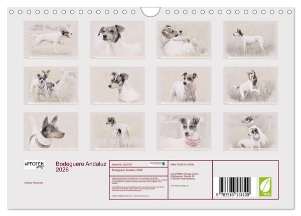 Produktbild: Bodeguero Andaluz 2026 (Wandkalender 2026 DIN A4 quer), CALVENDO Monatskalender