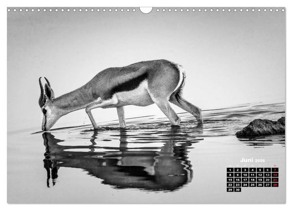 Produktbild: Namibia schwarzwei&szlig; (Wandkalender 2026 DIN A3 quer), CALVENDO Monatskalender