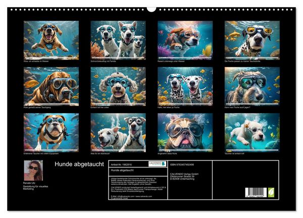 Produktbild: Hunde abgetaucht (Wandkalender 2026 DIN A2 quer), CALVENDO Monatskalender