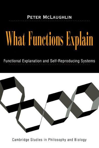 Produktbild: What Functions Explain