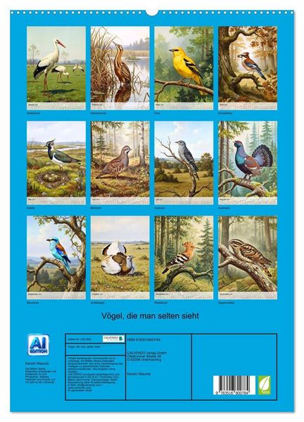Produktbild: V&ouml;gel, die man selten sieht (hochwertiger Premium Wandkalender 2027 DIN A2 hoch), Kunstdruck in Hochglanz