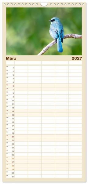 Produktbild: Familienplaner 2027 - Zwischen Nebel und Baumriesen - V&ouml;gel Borneos mit 5 Spalten (Wandkalender, 21 x 45 cm) CALVENDO