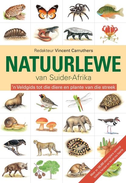 Produktbild: Die Natuurlewe van Suider-Afrika