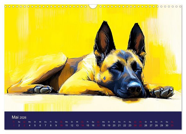 Produktbild: Loyaler Malinois. Belgische Sch&auml;ferhunde im Aquarell-Stil (Wandkalender 2026 DIN A3 quer), CALVENDO Monatskalender