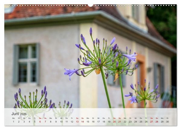 Produktbild: Schloss Favorite &ndash; Ein Park im Wandel der Jahreszeiten (hochwertiger Premium Wandkalender 2026 DIN A2 quer), Kunstdruck in Hochglanz
