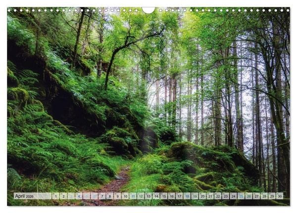 Produktbild: Mein Schottland - Landschaften (Wandkalender 2026 DIN A3 quer), CALVENDO Monatskalender