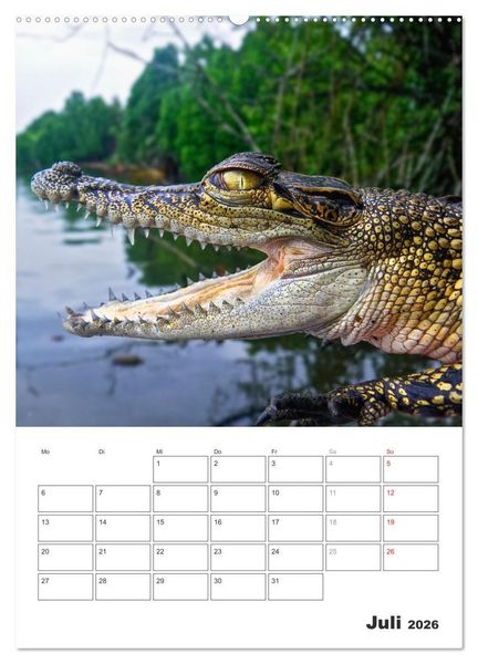 Produktbild: Sri Lanka 2026 - Exotisches Paradies - Jahresplaner (hochwertiger Premium Wandkalender 2026 DIN A2 hoch), Kunstdruck in Hochglanz